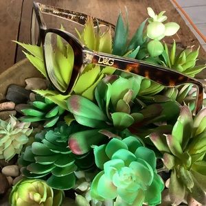 Dolce Gabbana Brown Tortoise Eye Glasses